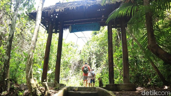 Masuk ke dalam hutan, traveler akan disambut oleh gerbang masuk dengan tulisan penanda Kali Biru (Randy/detikcom) Masuk ke dalam hutan, traveler akan disambut oleh gerbang masuk dengan tulisan penanda Kali Biru (Randy/detikcom)
