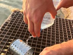 Trik Foto Kece yang Bisa Kamu Ikuti