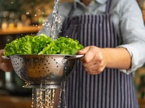 Gampang! Ini 5 Cara Simpan Selada Supaya Segarnya Awet