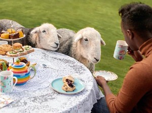 Seru! Di Sini Bisa Afternoon Tea Bareng Domba-domba Lucu