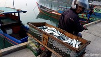 Namun, ada pula para nelayan yang mendistribusikan hasil laut hasil tangkapan mereka untuk dijual di pasar.