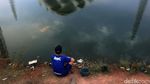 Yuk! Menikmati Sore Sambil Memancing di Danau Masjid Al Jabbar