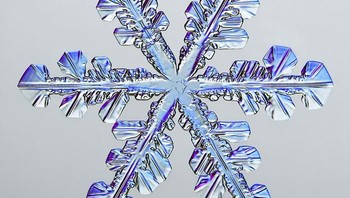 Pemenang ranking 5: Snowflake oleh Caleb Foster, Amerika Serikat. Foto: Nikon