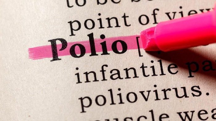 Fake Dictionary, Dictionary definition of the word Polio. including key descriptive words.