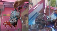 Taruh Kepiting Hidup di Mesin Capit Boneka, Restoran Seafood Ini Dikritik