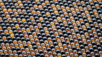 Pemenang ranking 16: Housefly Compound Eye Pattern oleh Dr. Razvan Cornel Constantin, Rumania. Foto: Nikon