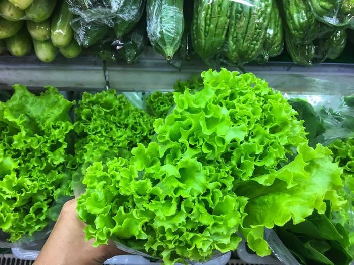 Foto: iStock/5 Sayuran untuk Diet Harian yang Seimbang dan Kaya Nutrisi Foto: iStock/5 Sayuran untuk Diet Harian yang Seimbang dan Kaya Nutrisi