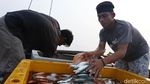 Geliat Perekonomian di Pulau Terluar Indonesia