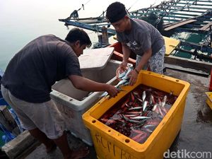 Geliat Perekonomian di Pulau Terluar Indonesia