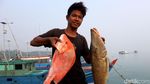 Geliat Perekonomian di Pulau Terluar Indonesia