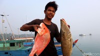 Kekayaan laut Indonesia memang telah tersohor di dunia. Semenjak pemerintah mengalakan sanksi penenggelaman kapal ikan asing yang mengambil hasil laut di Indonesia secara ilegal. Nelayan di Natuna pun mengaku saat ini mudah untuk mencari ikan. Potensi sumber daya perikanan laut Natuna ditaksir dapat menghasilkan lebih dari satu juta ton per tahun.