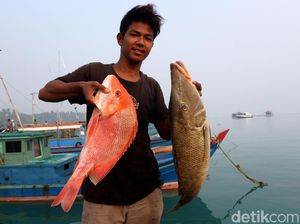 Walhi Sebut Capres-Cawapres Tak Punya Narasi RI Poros Maritim Seperti Jokowi