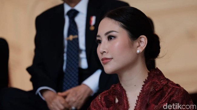 Daftar Lengkap Tugas Wamen Ekonomi Jokowi