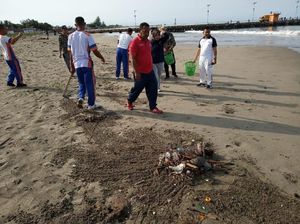 Kurangi 70% Sampah Pada 2025, Kemenhub Bersihkan Laut Tiap Bulan