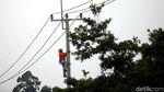Perjuangan Petugas PLN Optimalkan Jaringan Listrik di Perbatasan RI