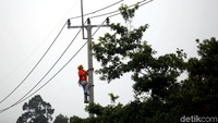 Penggantian ini guna meningkatkan jaringan ekpres feeder penghubung antara PLTD Ranai dengan PLTD Pian Tengah.