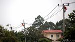 Perjuangan Petugas PLN Optimalkan Jaringan Listrik di Perbatasan RI