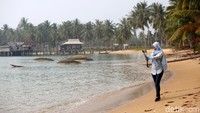 Seorang pengunjung sedang mengabadikan panorama alam Pantai Batu Kasah yang menawan dalam jepretan kamera.
