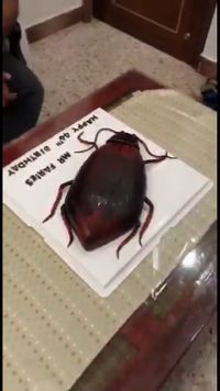 Dapat Kejutan Kue Bentuk Kecoa Raksasa, Reaksi Pria Ini Bikin Ngakak