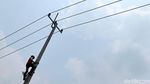 Perjuangan Petugas PLN Optimalkan Jaringan Listrik di Perbatasan RI