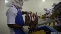 Cold storage di kawasan Selat Lampa ini memiliki kapasitas penyimpanan mencapai 3.000 ton per hari. PT PLN (Persero) pun turut membantu untuk memenuhi kebutuhan listrik di cold storage tersebut.