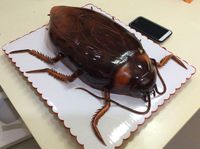 Dapat Kejutan Kue Bentuk Kecoa Raksasa, Reaksi Pria Ini Bikin Ngakak