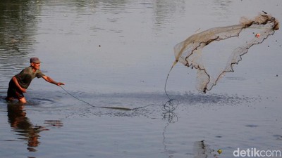 Potret Warga di Kabupaten Bandung Berburu Ikan Sapu-Sapu