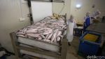 Melihat Aktivitas di Cold Storage Natuna