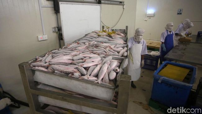 Cold Storage di Natuna