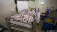 Selain itu, PLN juga telah menyiapkan PLTD khusus berkapasitas 1.000 kilowatt yang berada di sekitar bangunan cold storage.