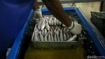 Melihat Aktivitas di Cold Storage Natuna