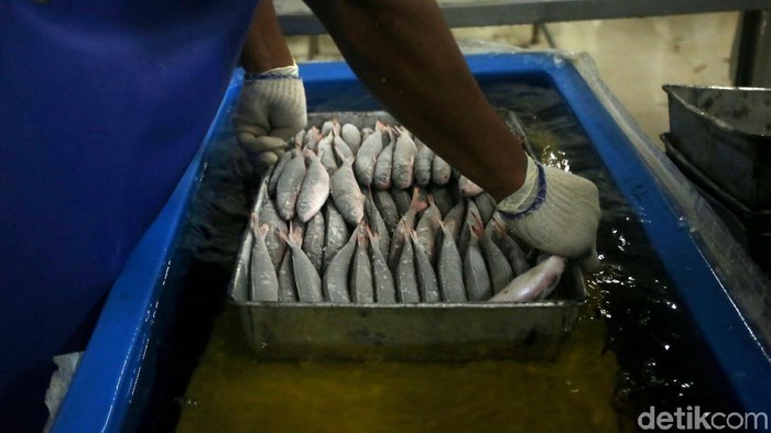 Kabupaten Natuna memiliki cold storage berkapasitas hingga 3.000 ton per hari. Cold Storage itu disebut sebagai salah satu yang terbesar di kawasan tersebut.