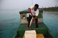 Saat Sebongkah Es Jadi Penentu Nafkah Nelayan Natuna