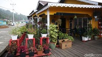 Homestay juga bertambah cantik dengan adanya berbagai macam bunga.