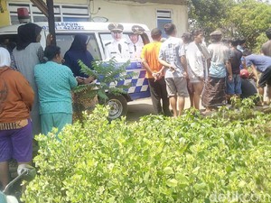 Teddy Bear Jadi Saksi Bisu Tewasnya Fani dengan Perut Tertancap Pisau