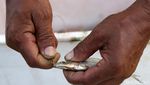 Melihat Nelayan Tradisional Mancing Ikan di Pulau Setanau