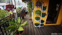 Homestay itu sangat asri dengan adanya tanaman hias.