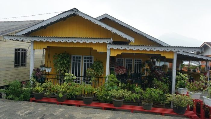 Homestay Tanjung Kumbik (Foto: Mustiana Lestari) Homestay Tanjung Kumbik (Foto: Mustiana Lestari)