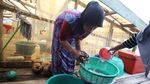 Melihat Pembuatan Kerupuk Cumi Khas Natuna