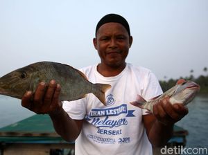 Melihat Nelayan Tradisional Mancing Ikan di Pulau Setanau