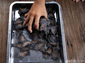 Kerupuk Ikan, Peluang Komoditas Ekonomi Natuna