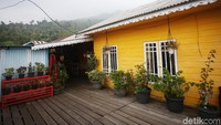 Pohon yang hijau tampak menghampar di belakang homestay tersebut.