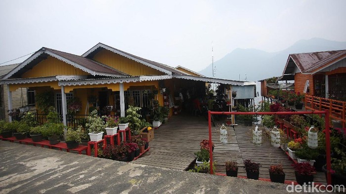 Homestay di Desa Tanjung Kumbik Utara, Natuna, Kepulauan Riau ini tampak berbeda. Tempat menginap itu sangat asri dengan adanya tanaman hias dan berbagai macam bunga.