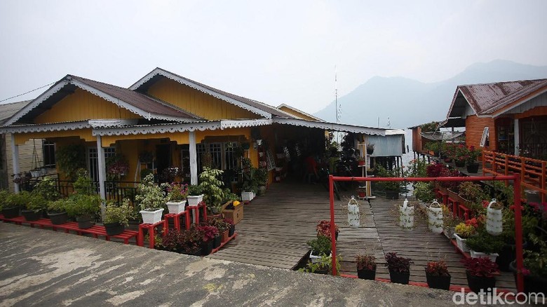 Asrinya Homestay di Tanjung Kumbik Utara Homestay di Desa Tanjung Kumbik Utara, Natuna, Kepulauan Riau ini tampak berbeda. Tempat menginap itu sangat asri dengan adanya tanaman hias dan berbagai macam bunga.