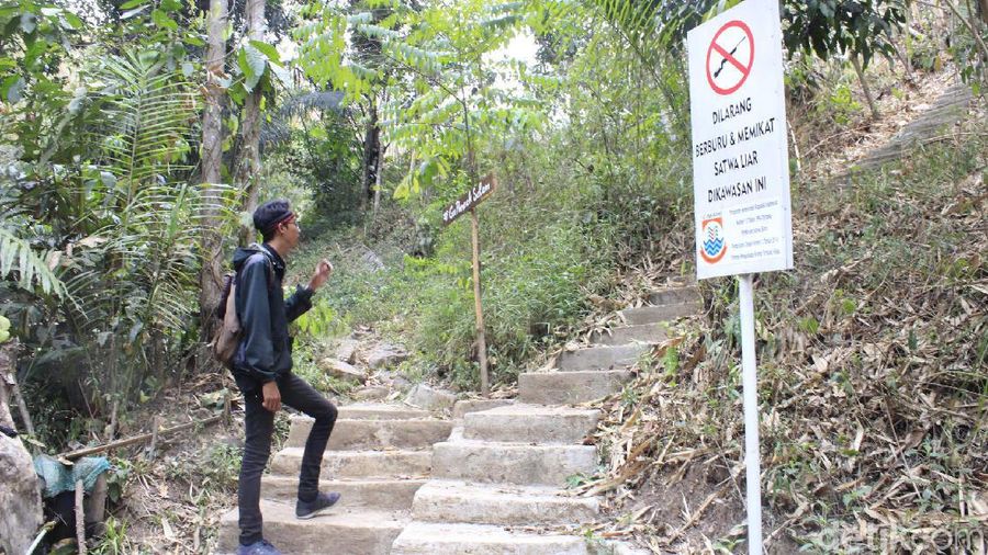 Hutan Keramat Di Cimahi Boleh Masuk Tapi Harus Lepas Alas Kaki Foto 2