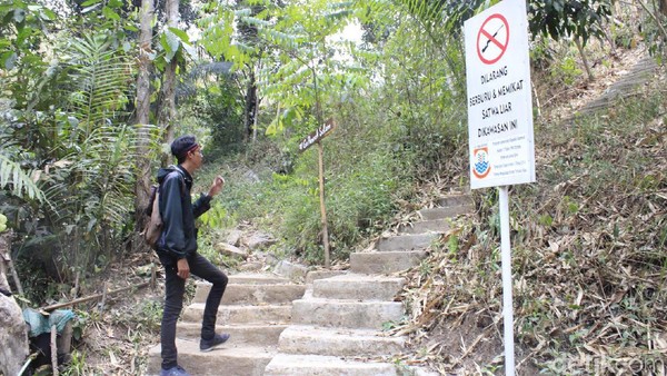 Puncak Salam berada di wilayah Hutan Larangan yang dikeramatkan. Dahulu, warga yang hendak menjejakkan kaki di sana diwajibkan melakukan puasa mutih (Yudha/detikcom) Puncak Salam berada di wilayah Hutan Larangan yang dikeramatkan. Dahulu, warga yang hendak menjejakkan kaki di sana diwajibkan melakukan puasa mutih (Yudha/detikcom)