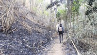 Di Kelurahan Leuwigajah, Cimahi Selatan, Kota Cimahi terdapat sebuah situs yang disakralkan oleh masyarakat Kampung Adat Cireundeu. Namanya Puncak Salam.(Yudha/detikcom)
