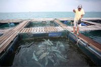 Geliat UMKM Natuna yang Tak Lagi Dipandang Sebelah Mata
