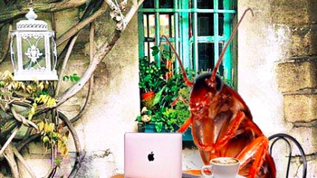 Dikejar deadline, kerja di kafe sambil ngopi. Foto: Instagram @cockroachdiaries