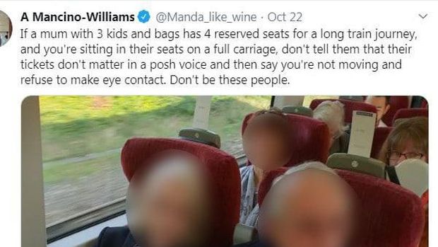 Sepasang Penumpang Akui Tempat Duduk Wanita Hamil di Kereta